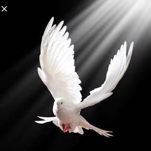 Meet your Posher, Ana